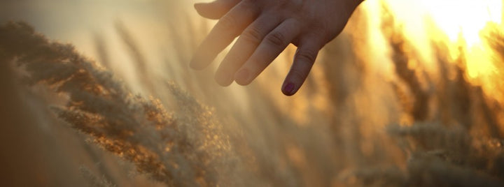 Lucid dreaming supplements and which ones to try