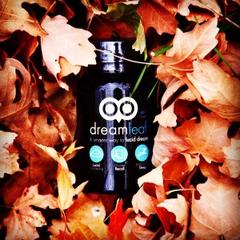 The role of lucid dreaming supplements