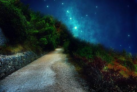 Types of dreams and what they say about your brain