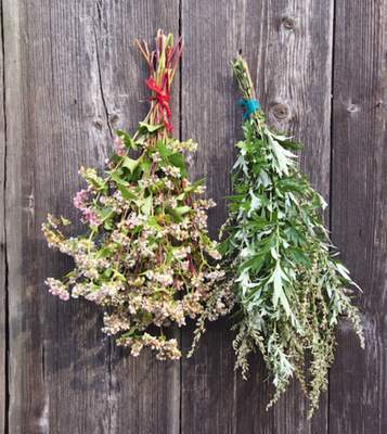 Herbs for Astral Projection