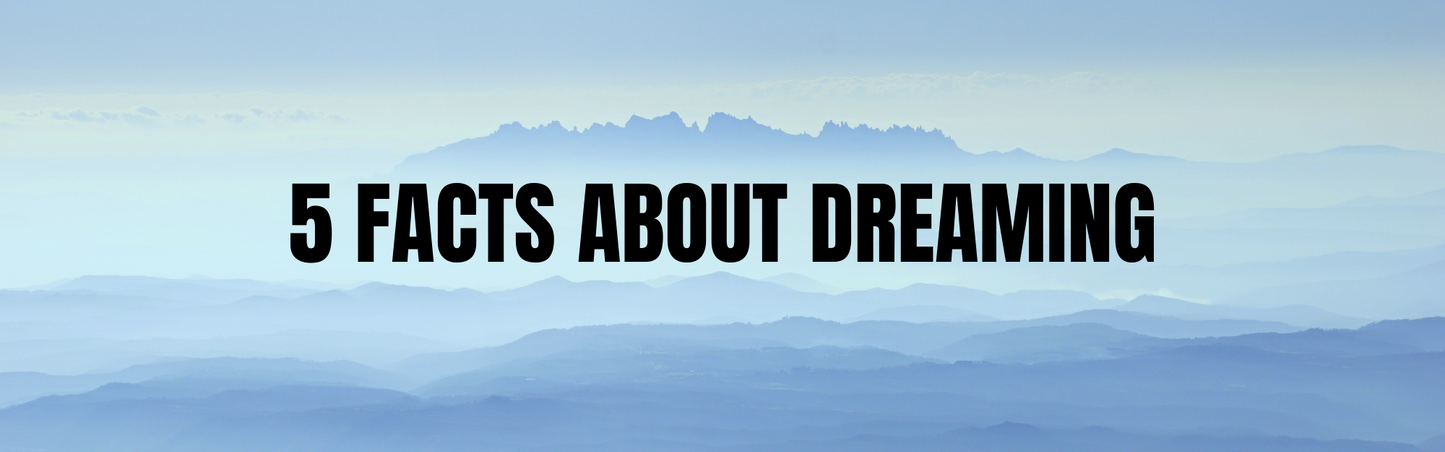 5 Facts About Dreaming