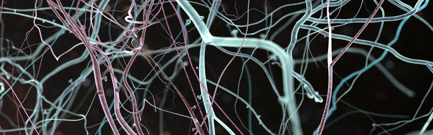 The Neurochemistry Behind Lucid Dreaming Supplements