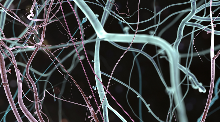 The Neurochemistry Behind Lucid Dreaming Supplements