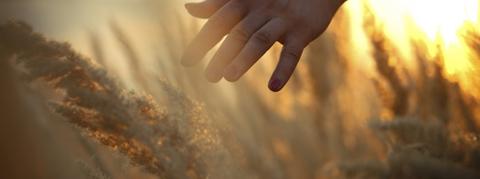 Overcoming Trauma Through Lucid Dreaming