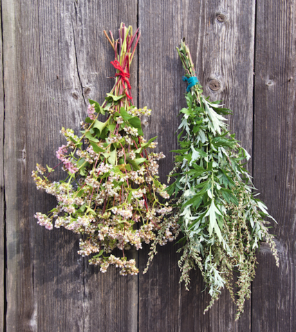 Herbs for Astral Projection