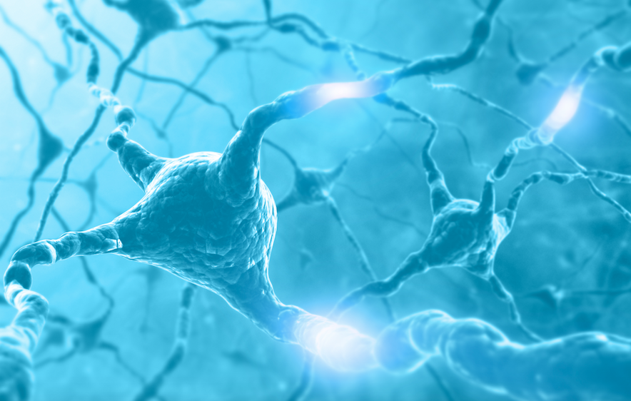 What is Lucid Dreaming?