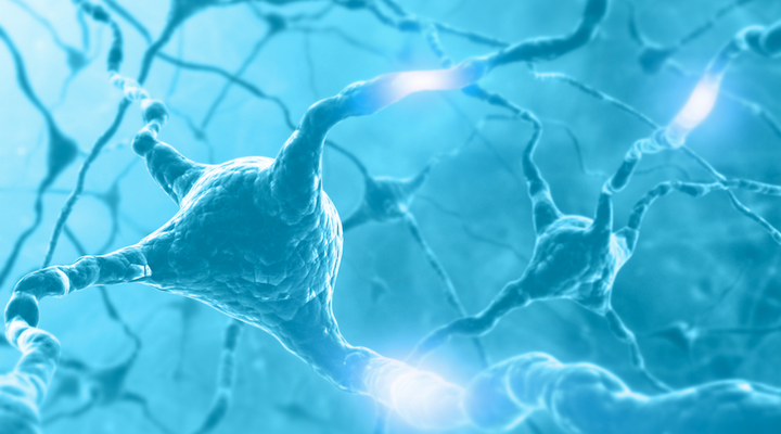 What is Lucid Dreaming?